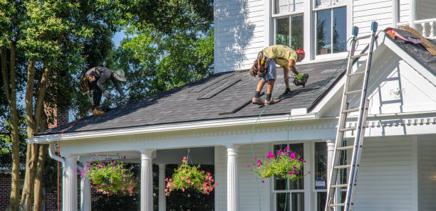 Best Roof Gutter Cleaning  in Old Brookville, NY